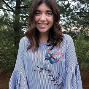 striped embroidered blouse with puff sleeves